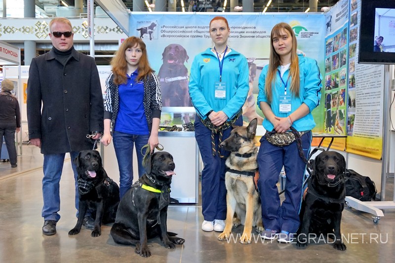 Московская школа собак-поводырей в Уфе